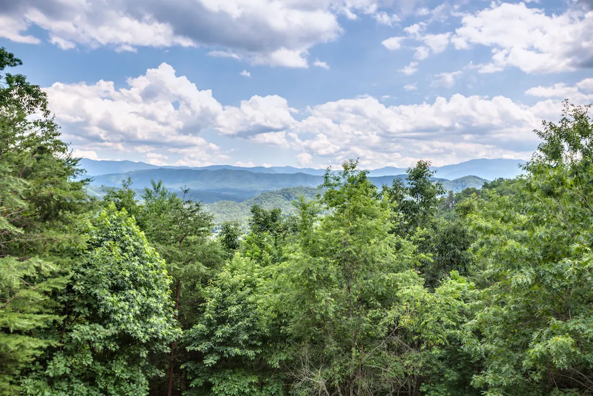 Expansive views of distant Smoky Mountains are framed by lush greenery and soft clouds. The scene radiates tranquility, offering a sense of awe and connection to the majestic surroundings. The natural beauty and wide open space invite exploration and outdoor adventure.